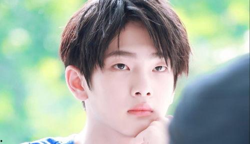 娱乐吃瓜网名大全男女生,男女明星个性网名大揭秘