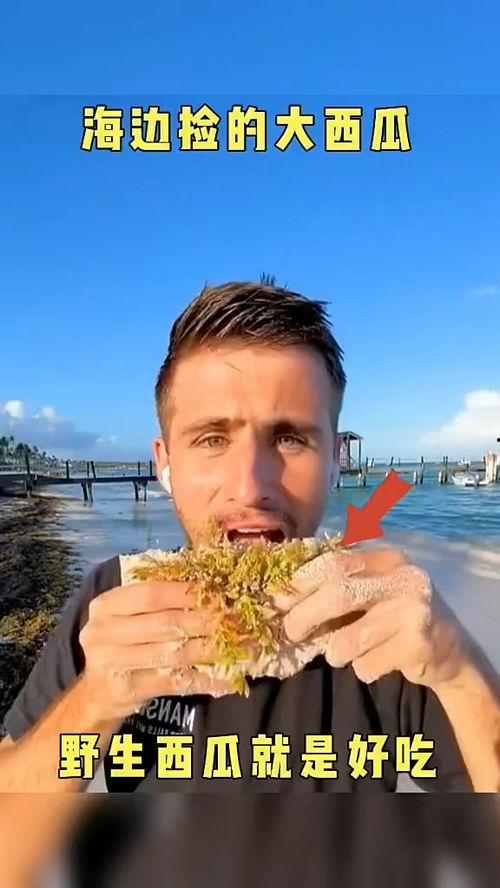 娱乐吃瓜配音视频大全最新